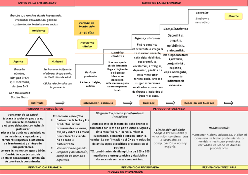 Miniatura del documento Control-Brucelosis.pdf