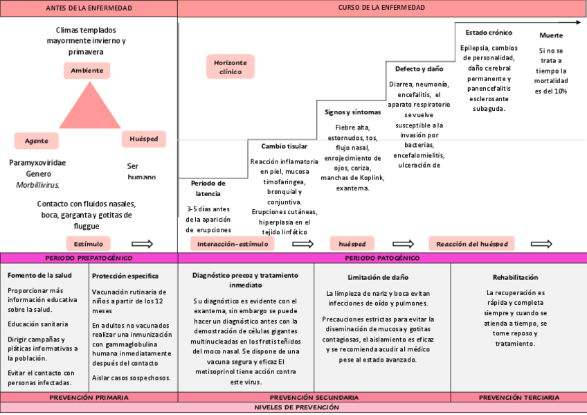 Miniatura del documento Control-de-enfermedades-trasmisibles-Historia-natural-de-la-enfermedad-Sarampion.pdf