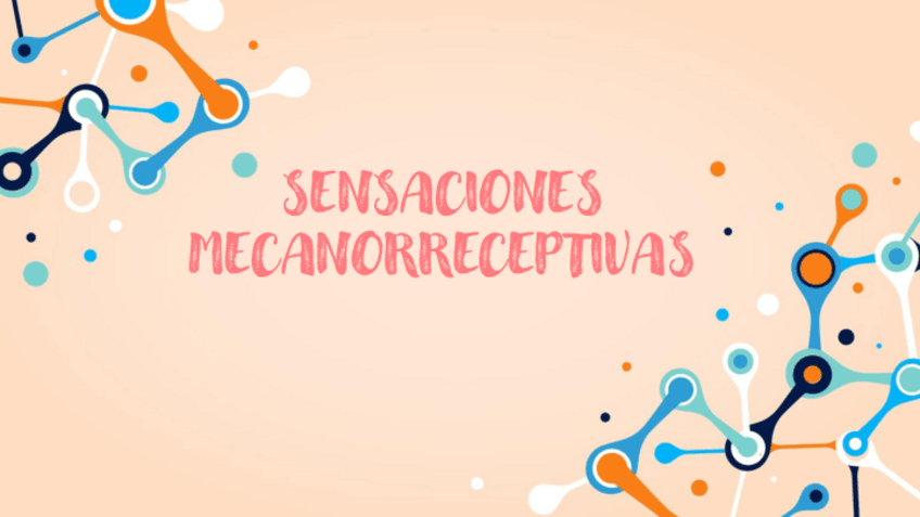 Miniatura del documento Fisiologiav-sensaciones-macanorreceptivas-.pdf