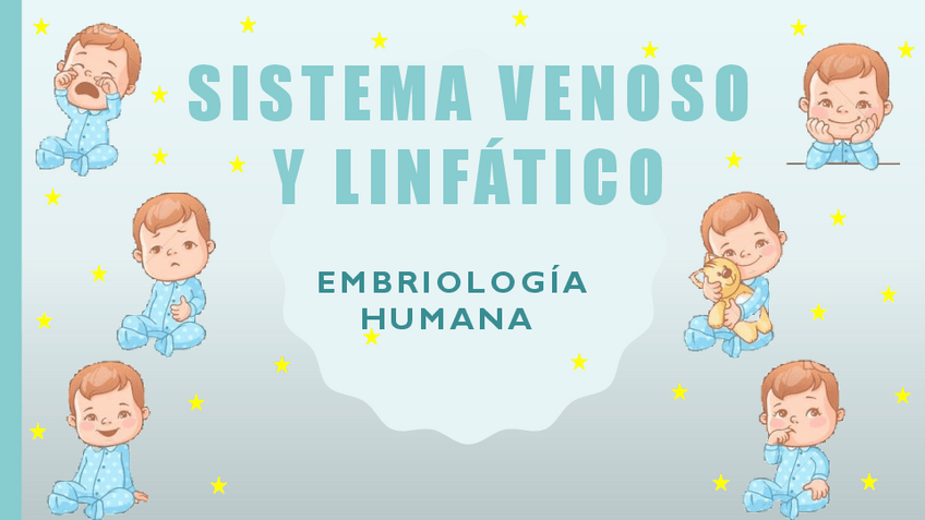 Miniatura del documento Embriologia-Sistema-venoso-y-linfatico-.pdf