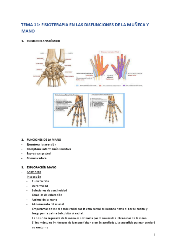 Miniatura del documento Tema-11.pdf