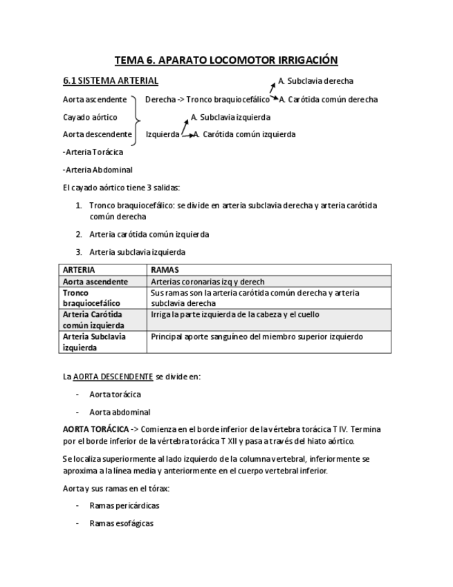 Miniatura del documento Tema-6-ANATOMIA-Aparato-locomotor-irrigacion.pdf