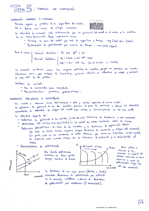 Miniatura del documento COPRO-t5.pdf