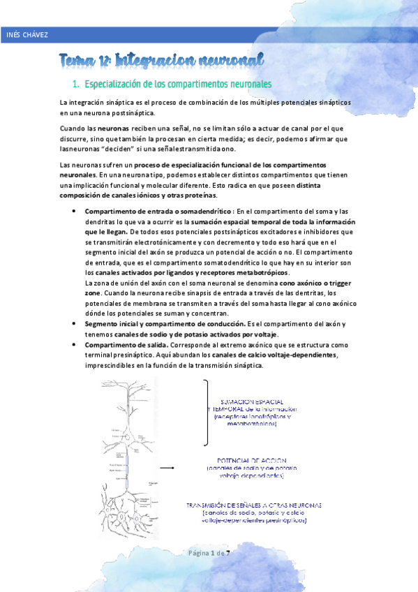 Miniatura del documento Tema-12-Integracion-neuronal.pdf