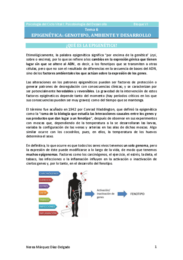 Miniatura del documento Tema-6-Epigenetica.pdf