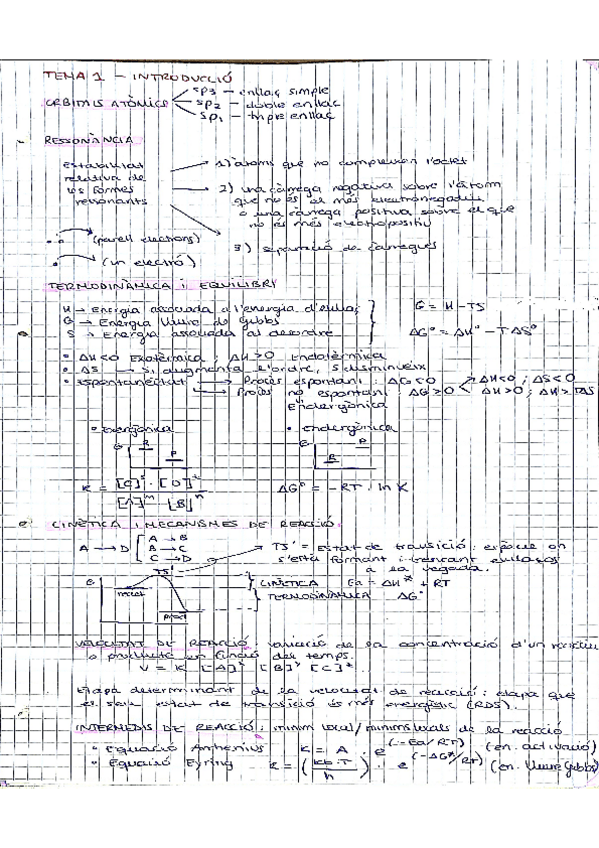 Miniatura del documento QO-RESUM-T1.pdf