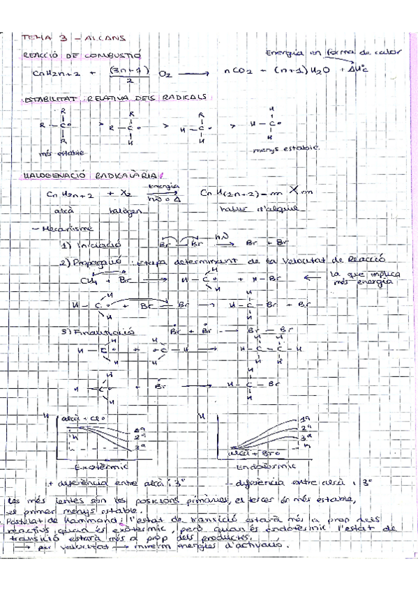 Miniatura del documento QO-RESUM-T3.pdf