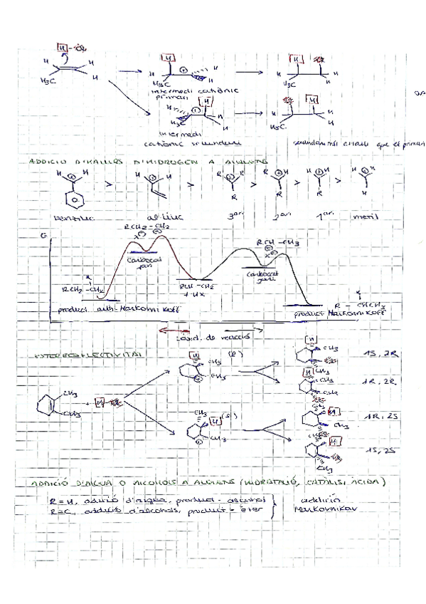 Miniatura del documento QO-TEMA-4-2.pdf