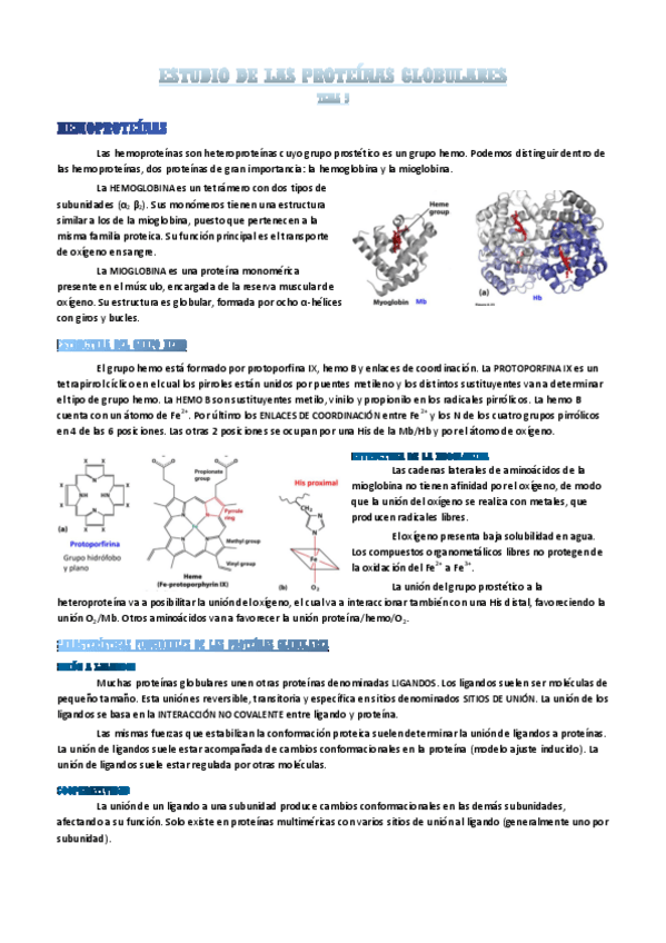 Miniatura del documento estudio-de-las-proteinas-globulares.pdf