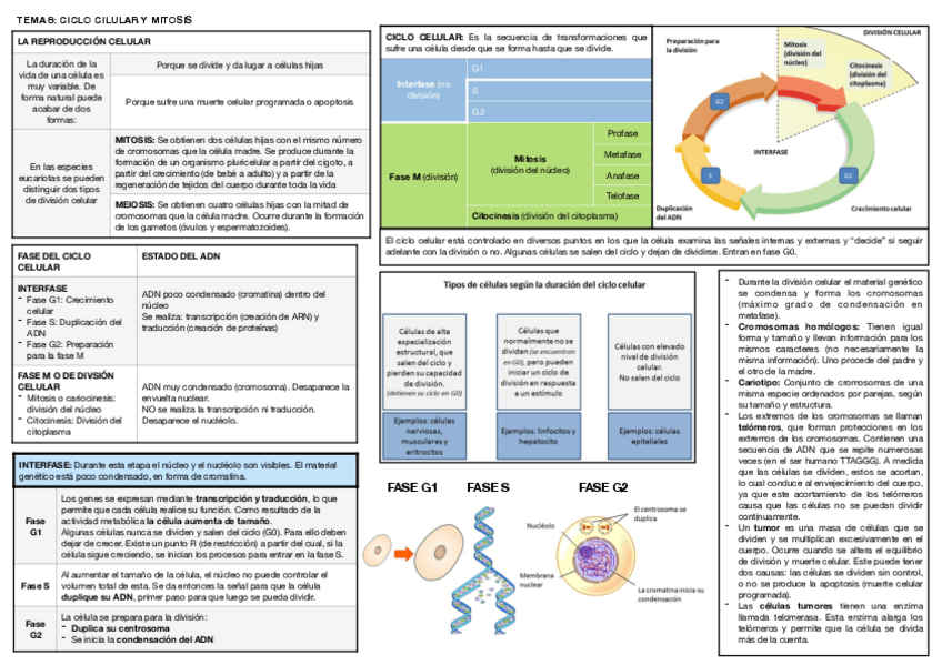 Miniatura del documento Tema-8.pdf