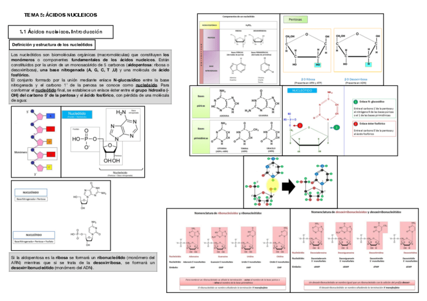 Miniatura del documento Tema-5.pdf