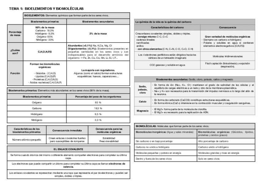 Miniatura del documento Tema-1.pdf