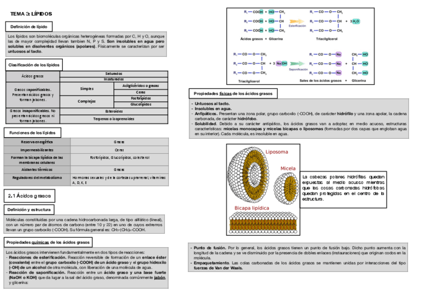 Miniatura del documento Tema-3.pdf
