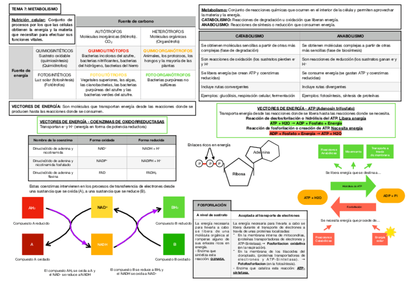 Miniatura del documento Tema-7.pdf