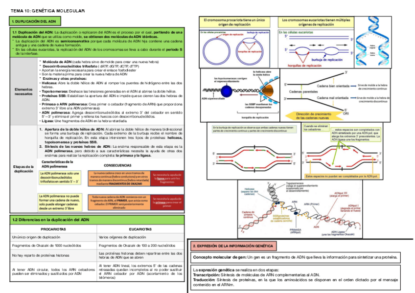 Miniatura del documento Tema-10.pdf