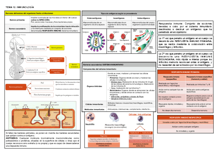 Miniatura del documento Tema-12.pdf