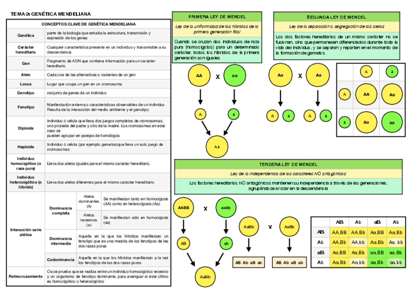 Miniatura del documento Tema-9.pdf