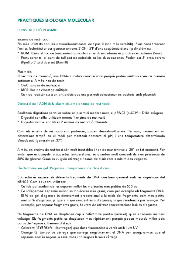 Miniatura del documento Resum-practiques.pdf