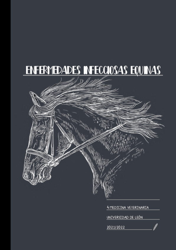 Miniatura del documento Equinos-Apuntes-3.pdf