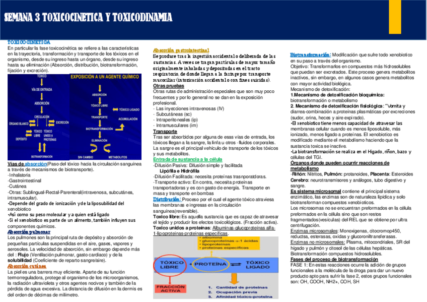 Miniatura del documento TOXICOLOGIA-3.pdf