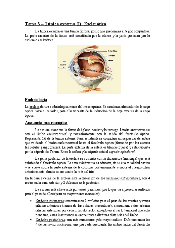 Miniatura del documento TEMA 3 (esclerótica).pdf