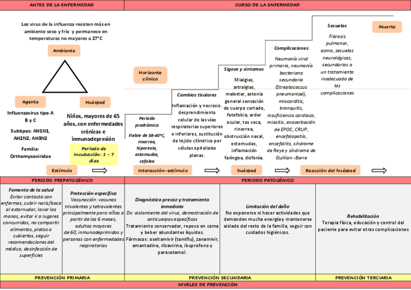 Miniatura del documento Influenza.pdf