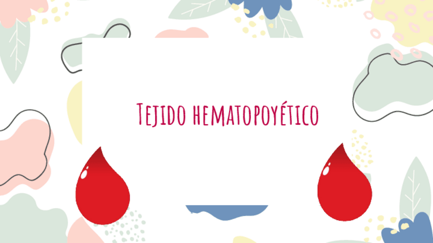 Miniatura del documento Tejido-hematopoyetico.pdf