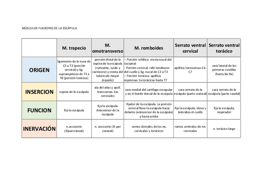 Miniatura del documento TABLAS-MIEMBRO-TORACICO-COMPLETO.pdf