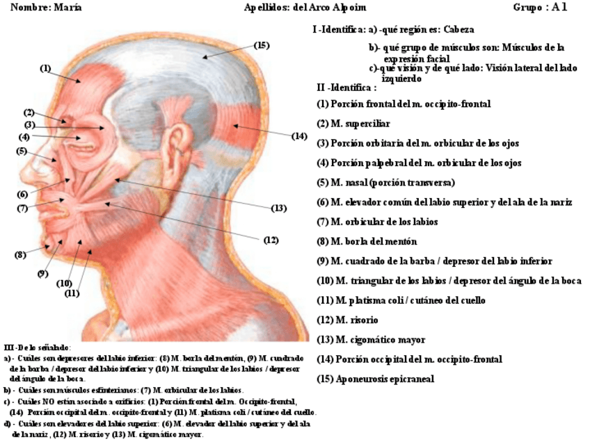 Miniatura del documento Grupo-A1-Ficha-Pract-II-AH.pdf