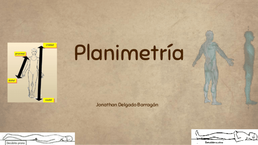 Miniatura del documento Planimetria.pdf