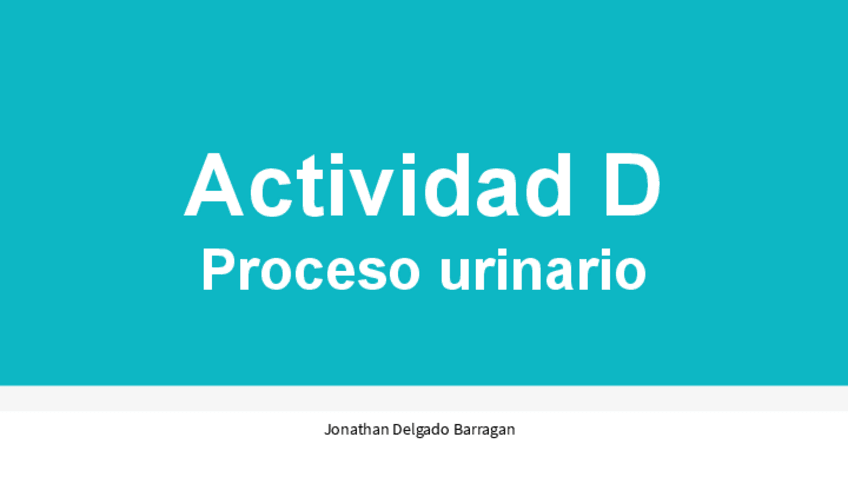 Miniatura del documento Proceso-urinario.pdf