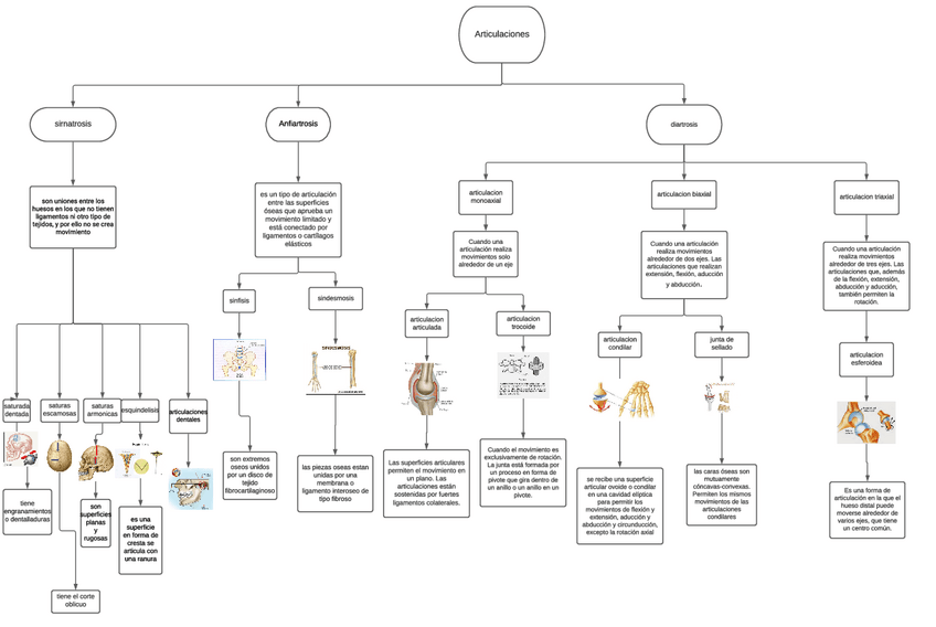 Miniatura del documento diagrama-de-las-articulaciones.pdf