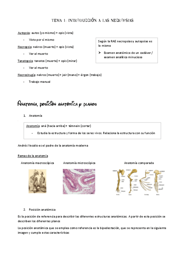 Miniatura del documento Necropsias.pdf