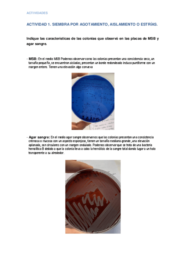 Miniatura del documento Cuaderno-de-practicas-Microbiologia.pdf