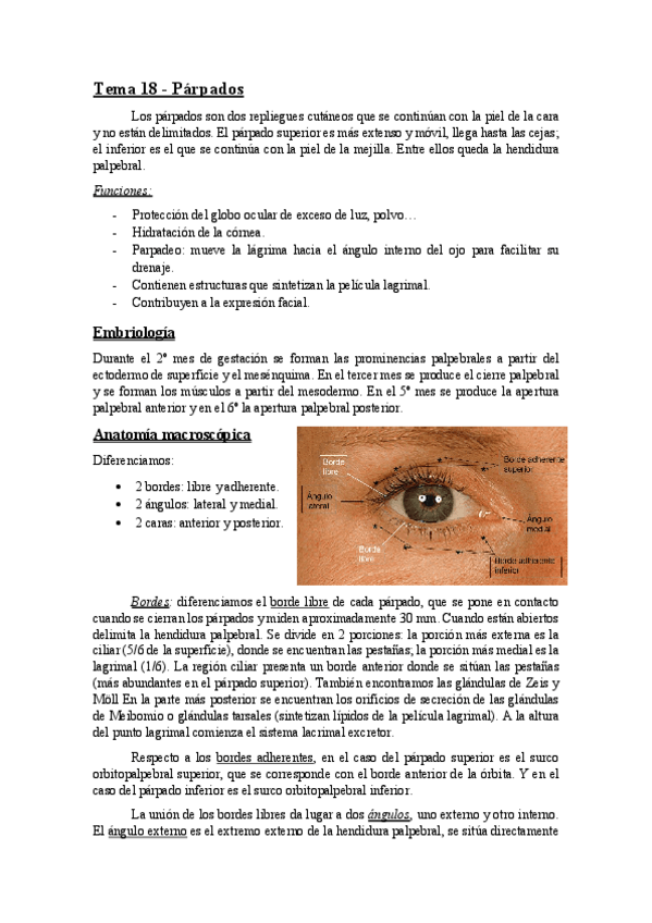 Miniatura del documento TEMA 18 (párpados).pdf