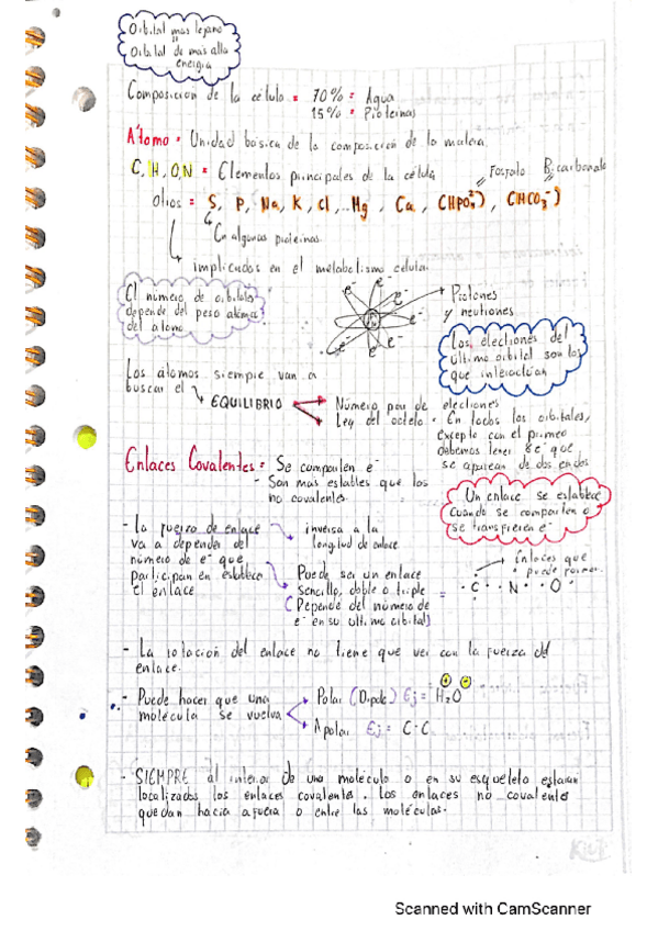 Miniatura del documento enlaces-quimicos-biologia.pdf