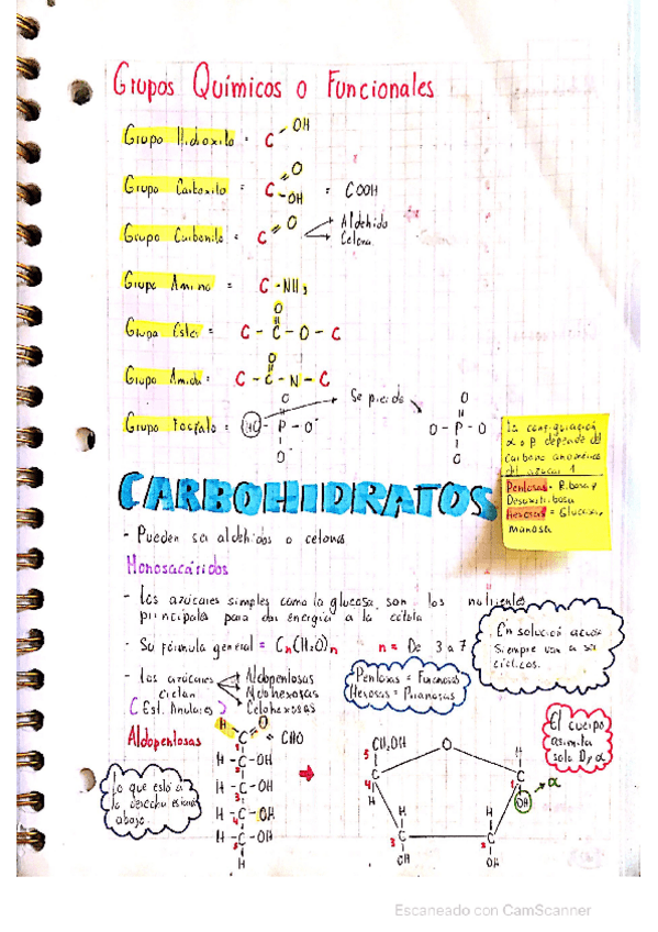 Miniatura del documento Macromoleculas-biologia.pdf