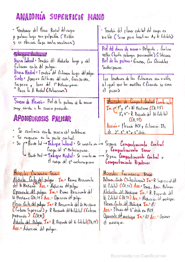 Miniatura del documento ANATOMIA-DE-MANO.pdf