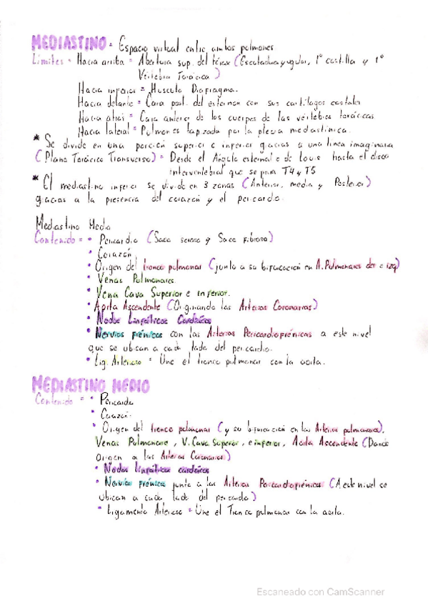 Miniatura del documento ANATOMIA-DE-MEDIASTINO-MEDIO.pdf