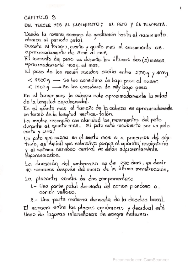 Miniatura del documento Capitulo-8-Embriologia-de-Langman.pdf