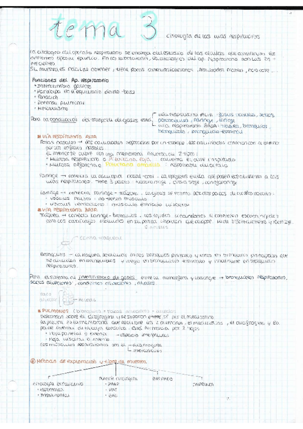 Miniatura del documento TEMA-3-general.pdf
