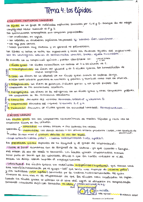 Miniatura del documento Tema-4.pdf