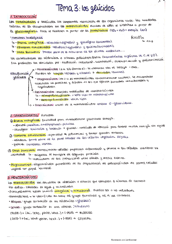 Miniatura del documento Tema-3.pdf