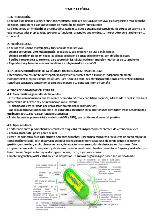 Miniatura del documento TEMA-7.pdf
