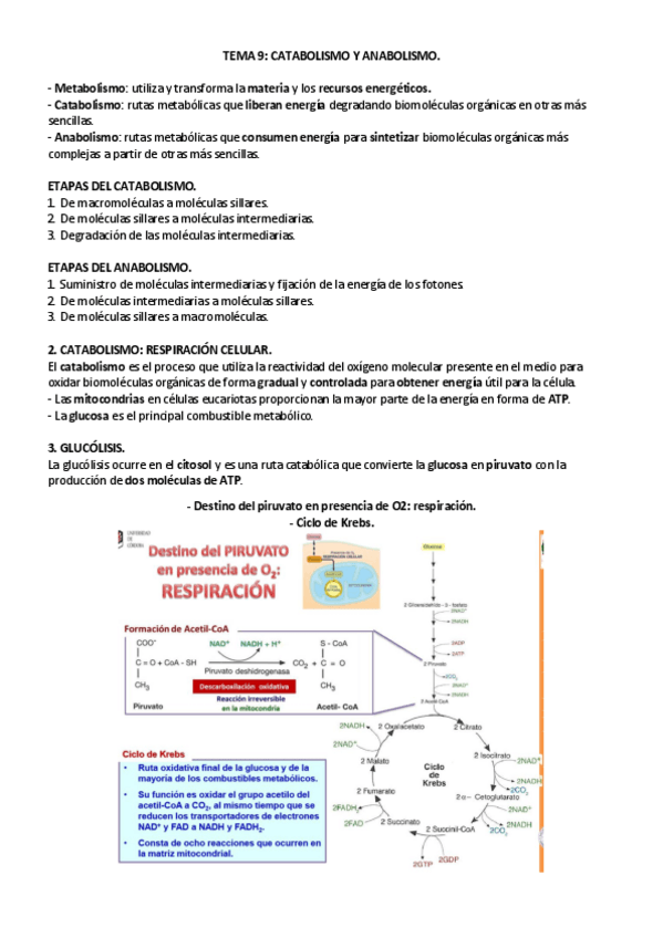 Miniatura del documento TEMA-9.pdf