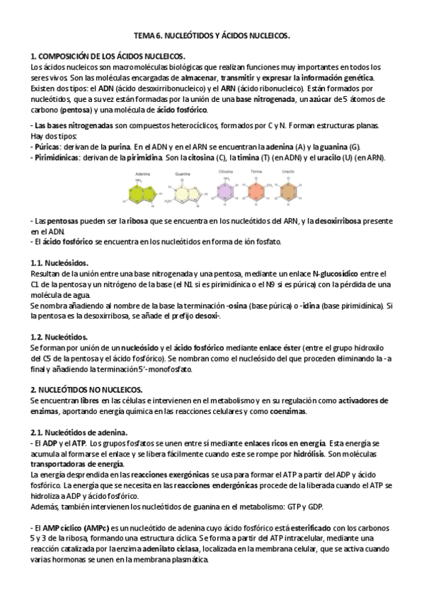 Miniatura del documento TEMA-6.pdf