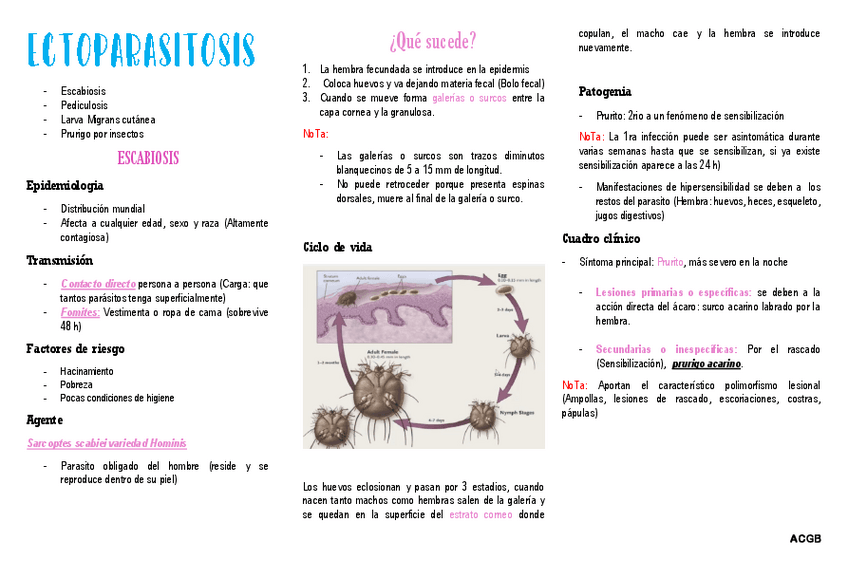 Miniatura del documento ECTOPARASITOSIS-FINAL.pdf