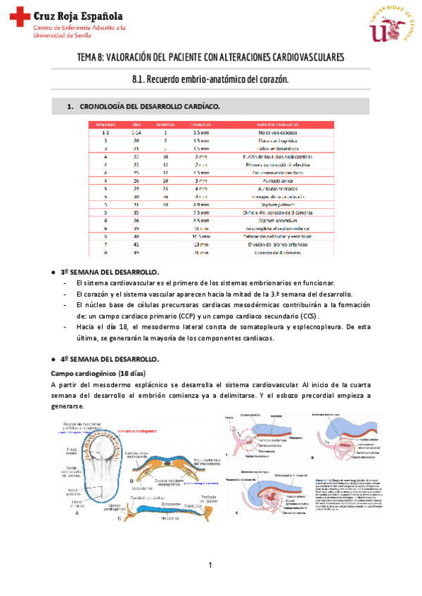Miniatura del documento Tema-8-ClinicaI.pdf