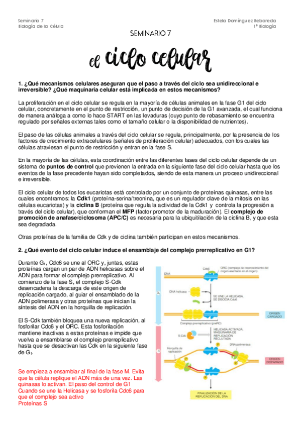 Miniatura del documento Seminario-7.pdf
