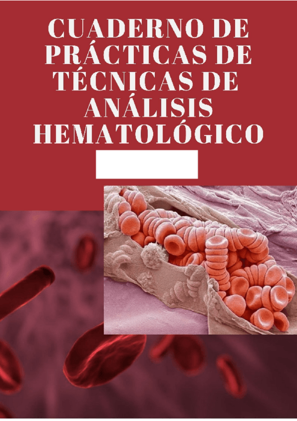 Miniatura del documento organized-1.pdf